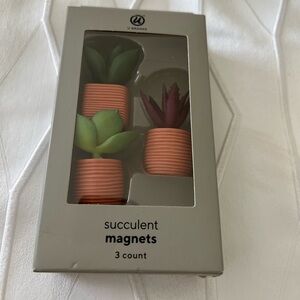 Succulent Magnets - Green and Purple